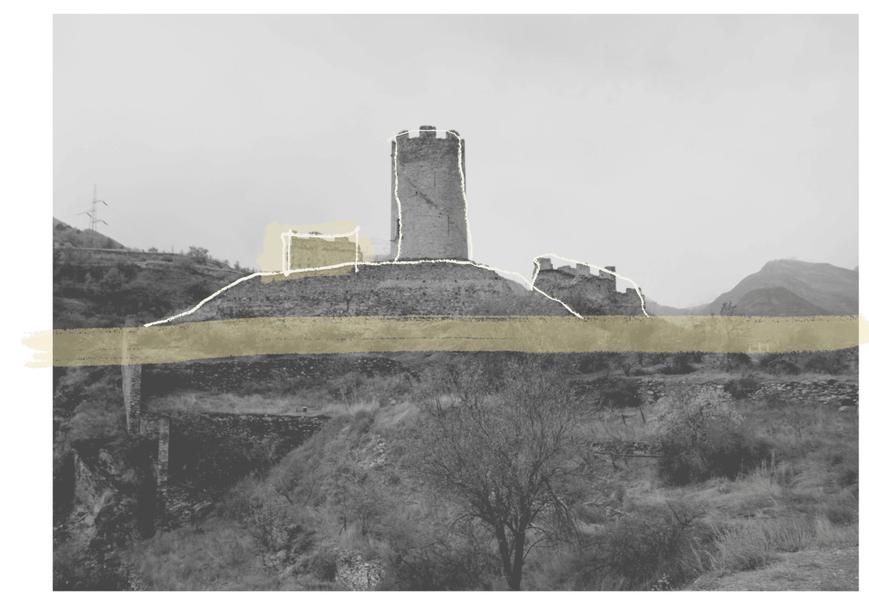 Mutualism Reuse Italy Competition