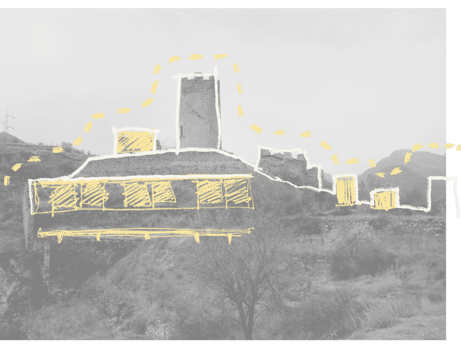 Mutualism Reuse Italy Competition